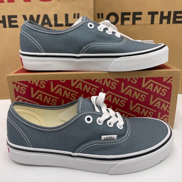 Vans Men’s AuthenticColor Theory Stormy WeatherVN000EGARV2 Sneakers
